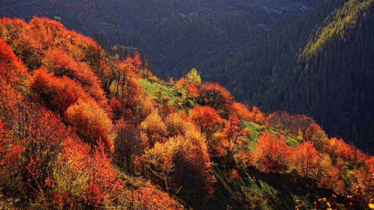 Pensione Albergo Diffuso Ceaglio Valle Maira Мармора Экстерьер фото